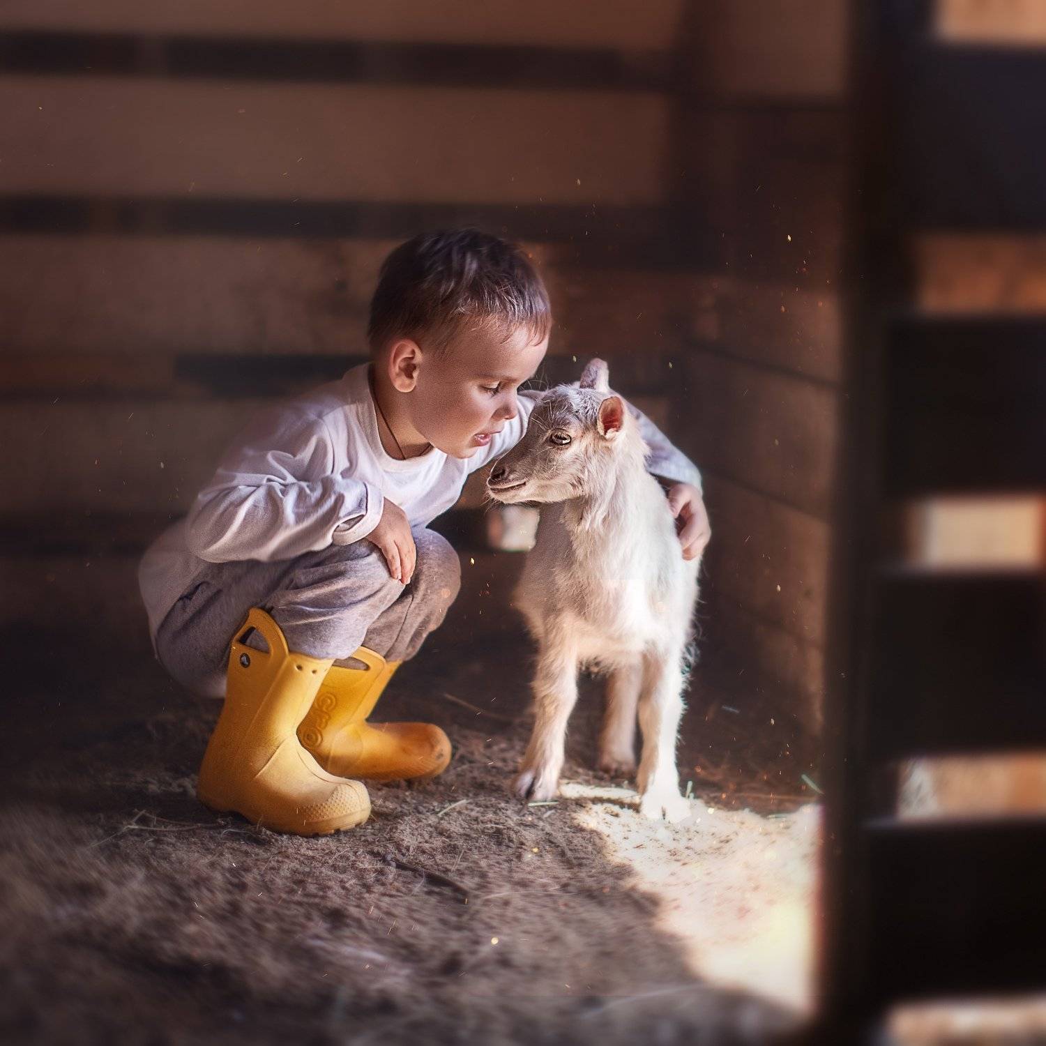 Мальчмк коза козленок секрет друзья деревня, Екатерина Годова
