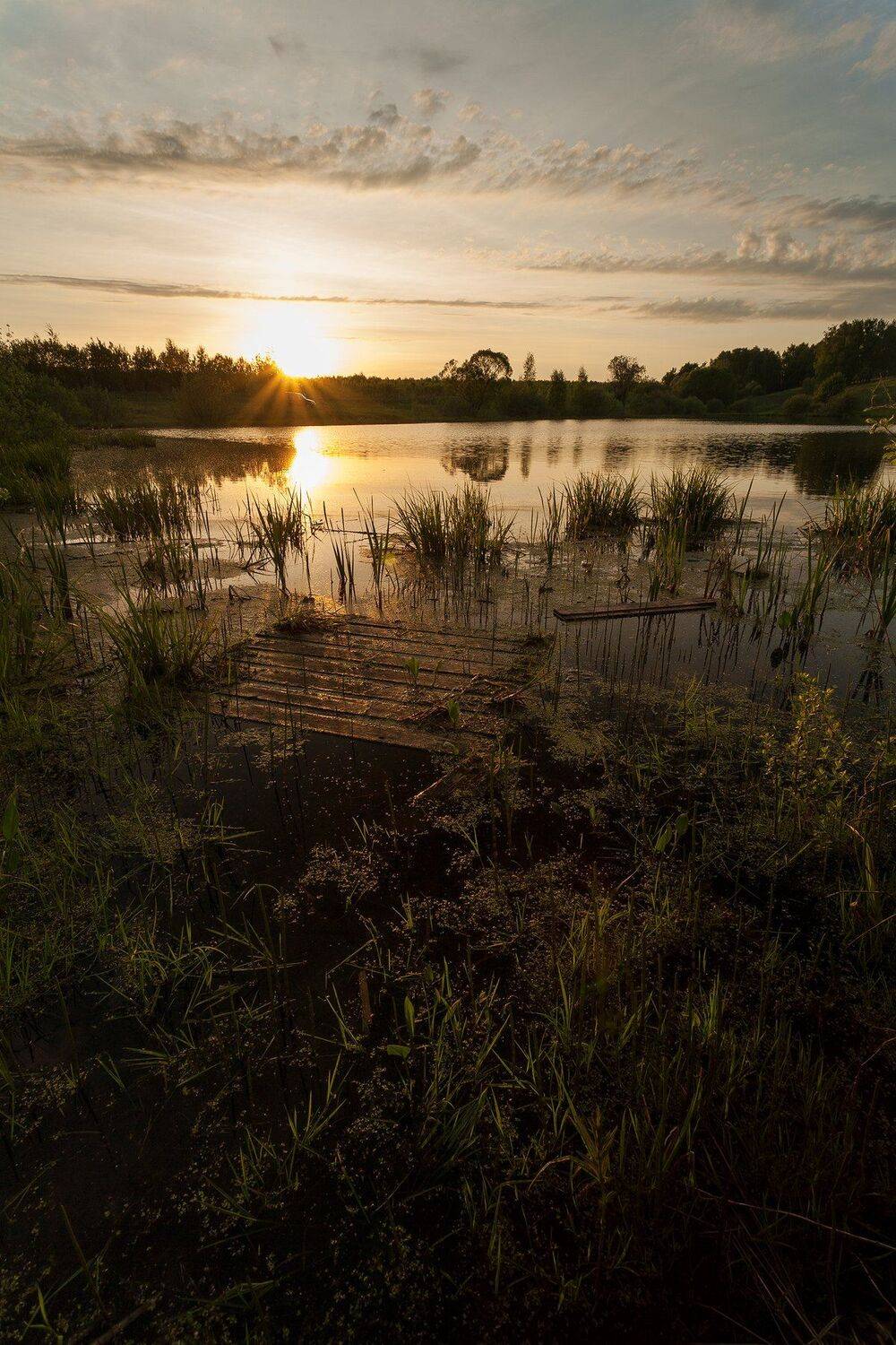 , Виталий Стрельцов