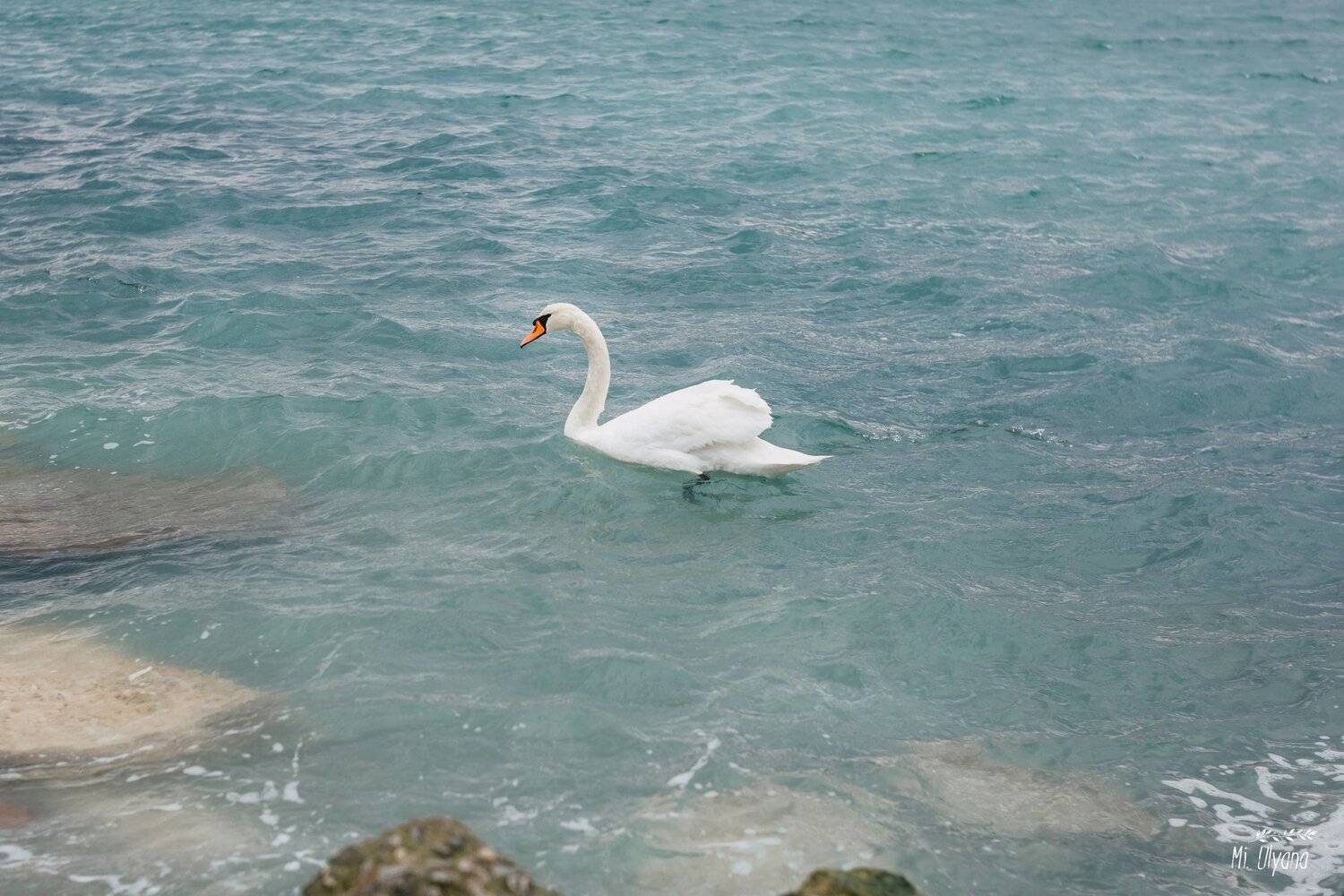 , Ульяна Буканова (Мизинова)