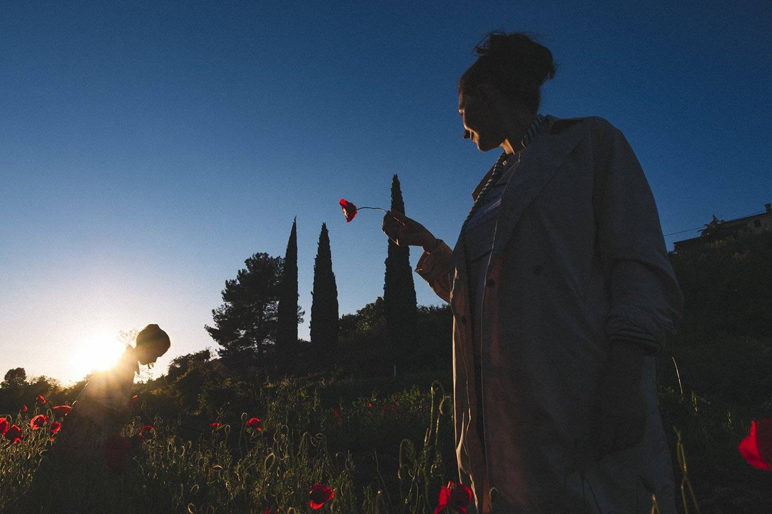 , Денис Кулешов