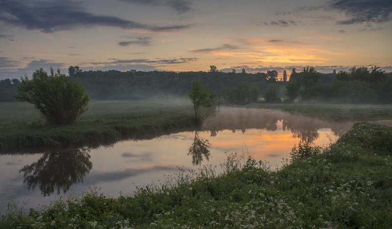 Утро в конце мая... фото превью