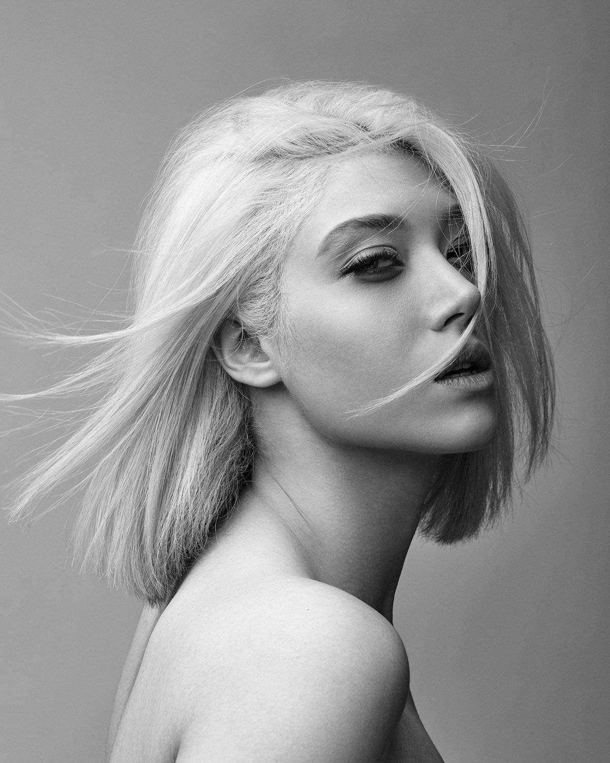 , Hamidreza Sheikhmorteza