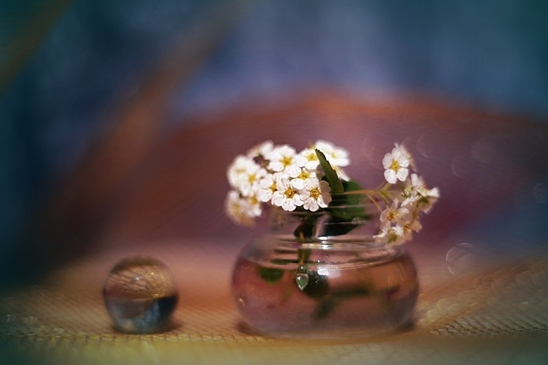 .... фото превью