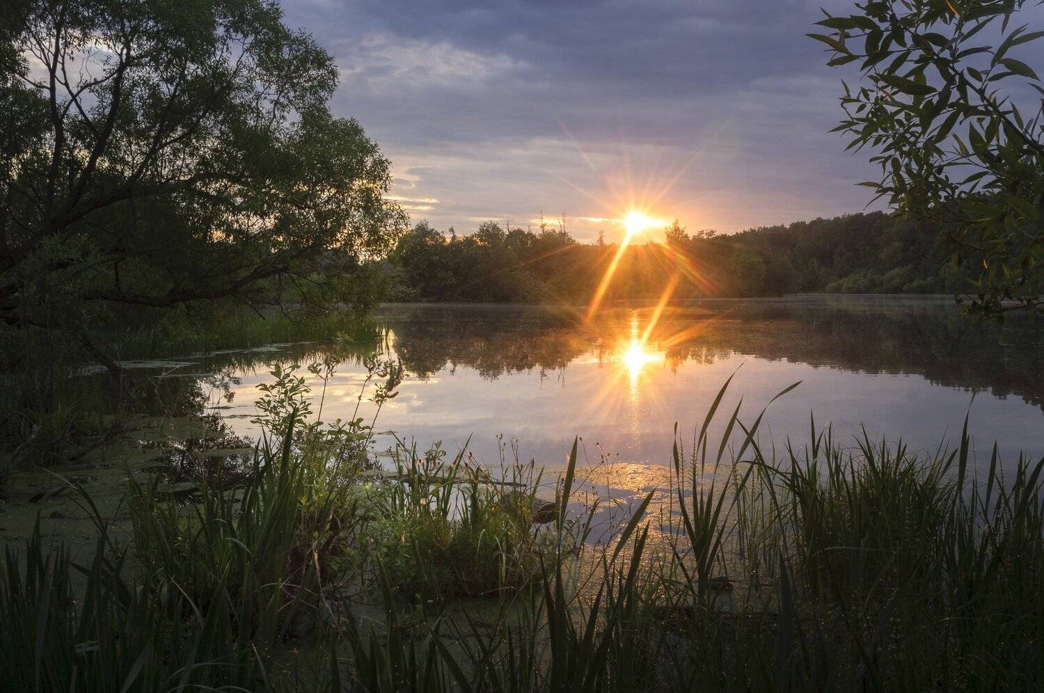 утро, рассвет, пейзаж, московская область, Александр Кыров
