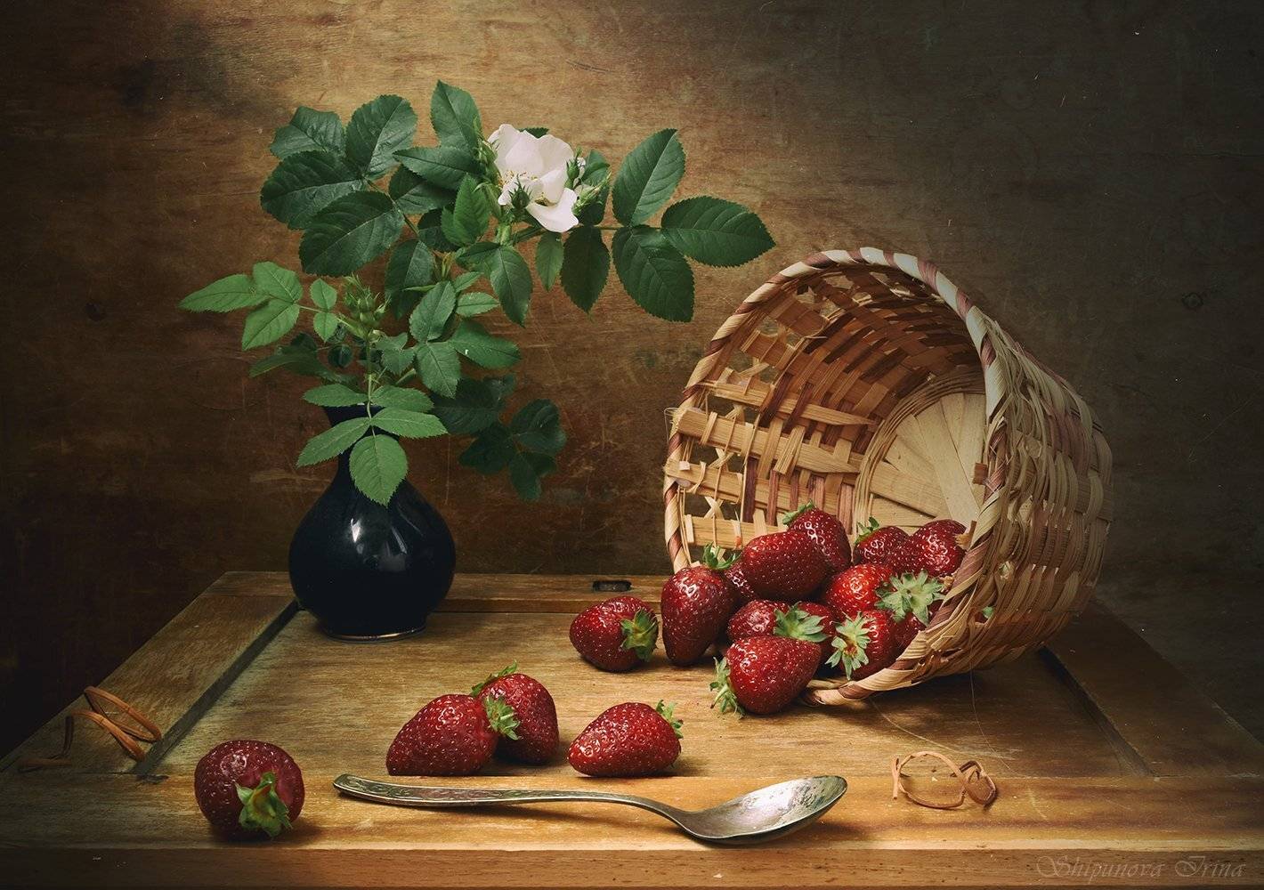 , Шипунова Ирина