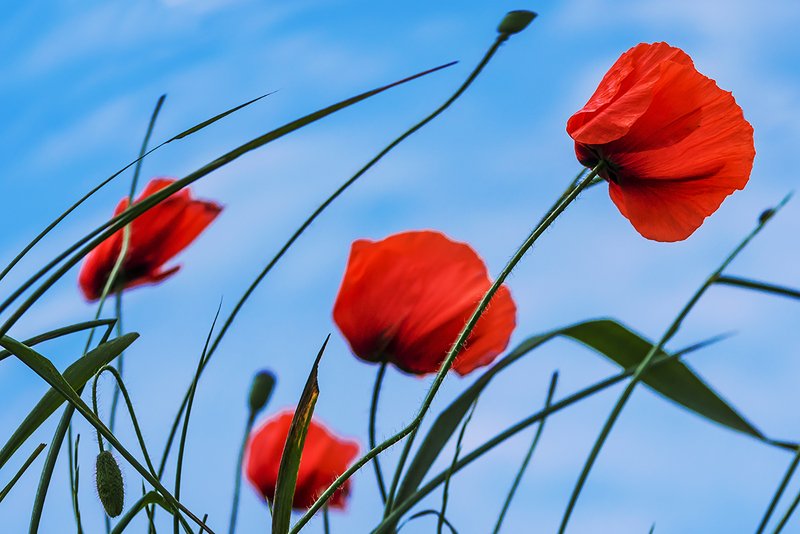 Для души фото превью