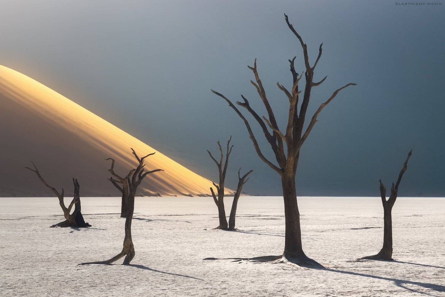 Namibia, desert, sand, dunes, sun, light, trees, explore, travel, outdoor, Africa, horizon, пустыня, путешествия, Африка, песок, дюны, солнце, деревья, озеро, долина, закат, горизонт, Максим Сластников