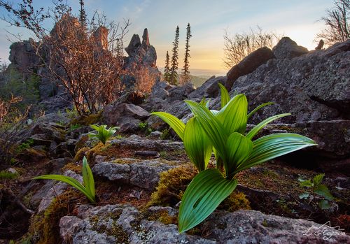 Под стенкой