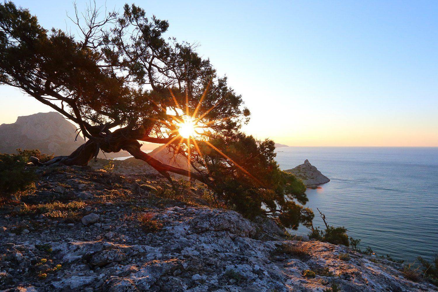 , Иван Карчев