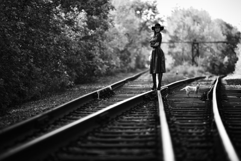 Неожиданная встреча фото превью