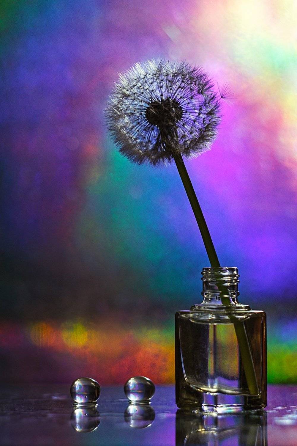 moment, момент, beautiful, красивый,  manual lens, мануальная оптика, helios-44m-6, dandelion, одуванчик, parachute, парашютик, still life, натюрморт,, Наталья Терентьева