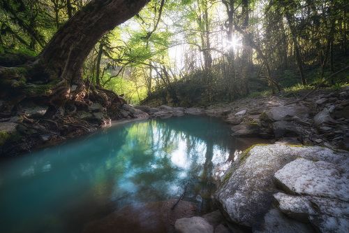 Каньон реки Дзыхра