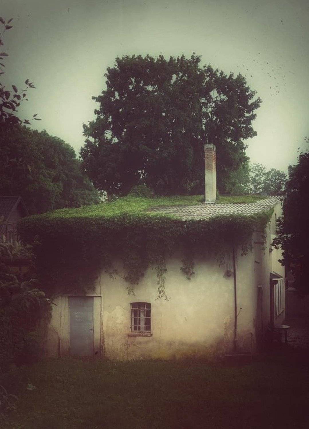 #iphone, #picsart, #snapseed #lithuania #palanga, Artur Politov