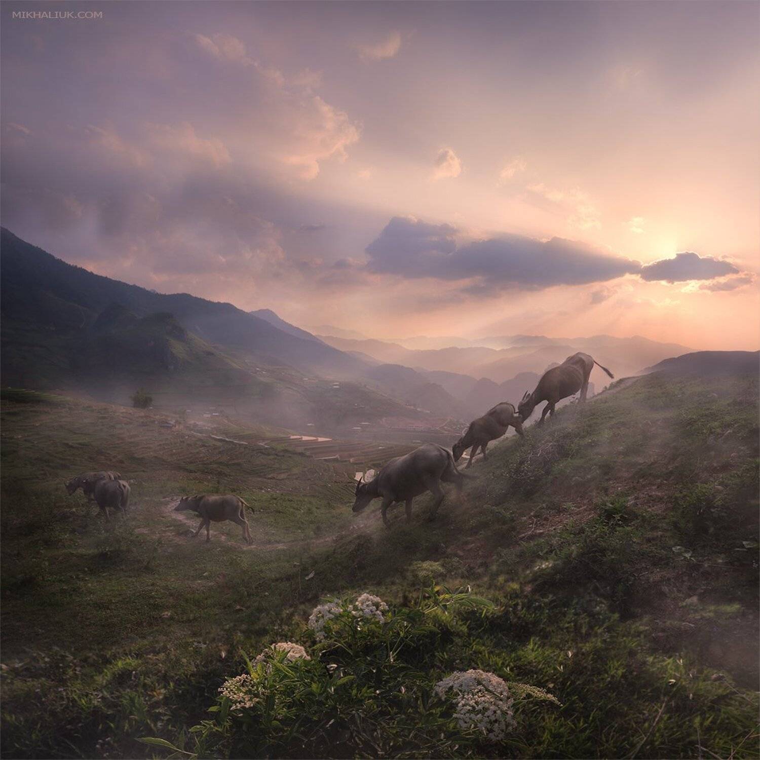 , Михалюк Сергей *