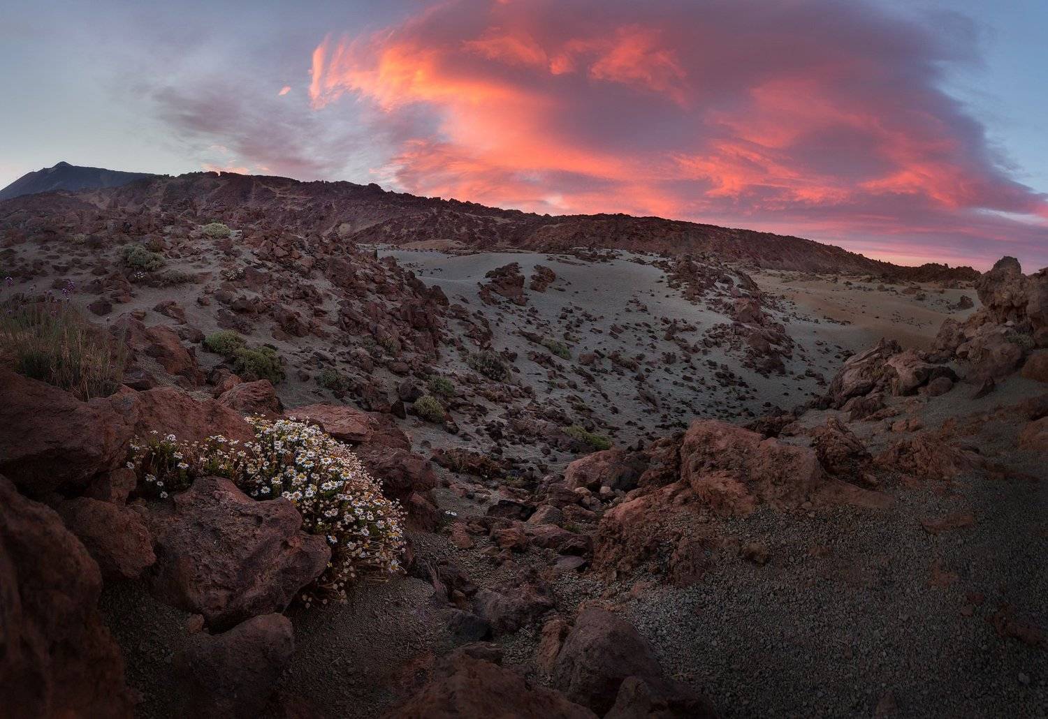 , Андрей Родионов