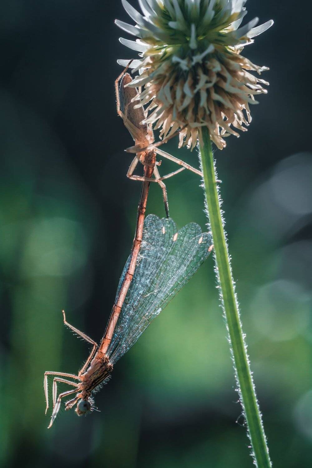 , Роман Зайцев