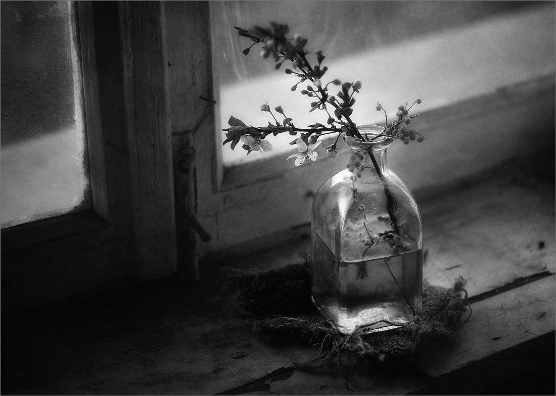 , Александр Хромеев