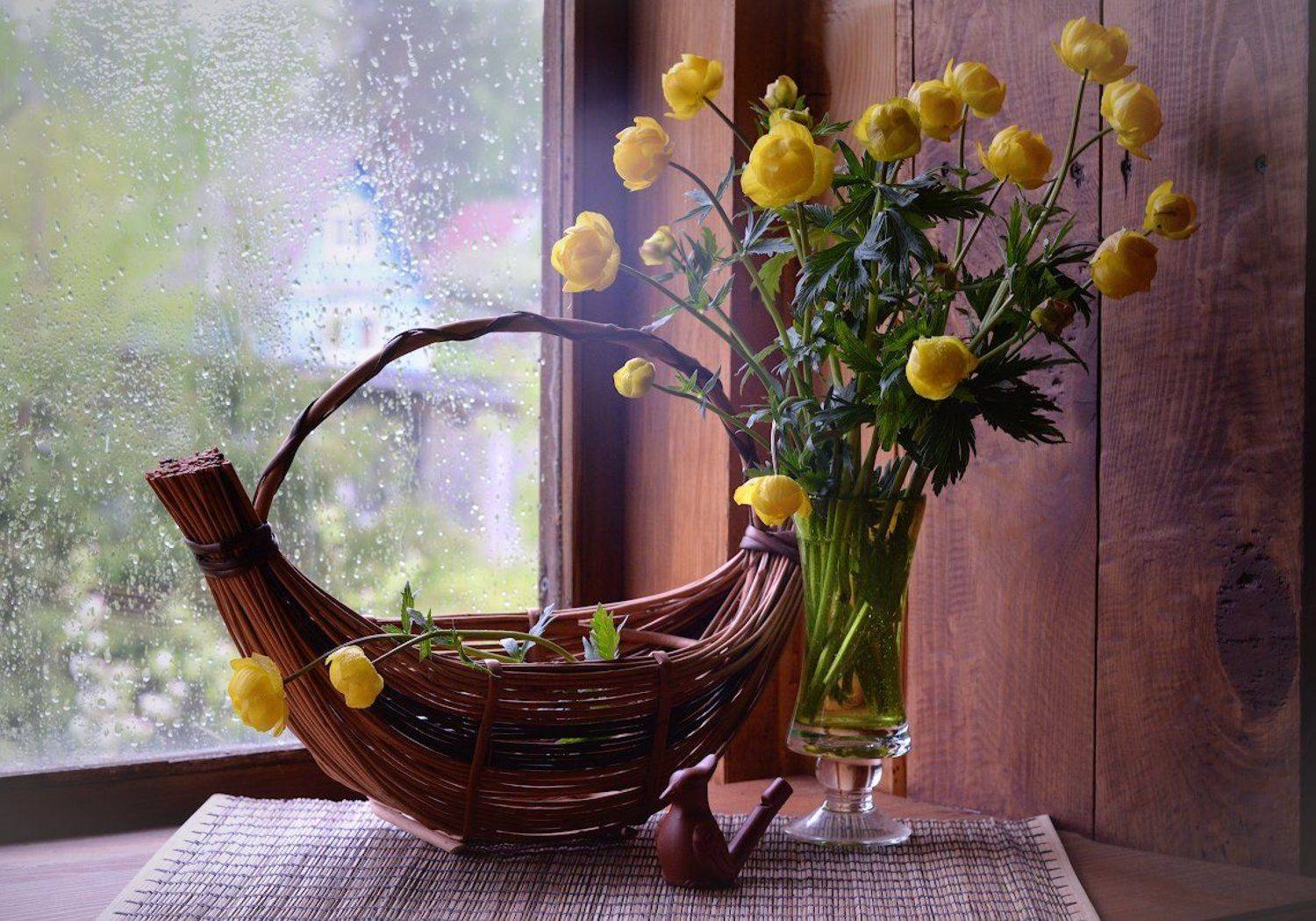 , Марина Никифорова