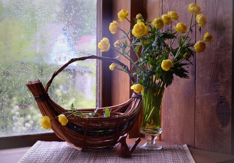 Купальниц перезвон фото превью