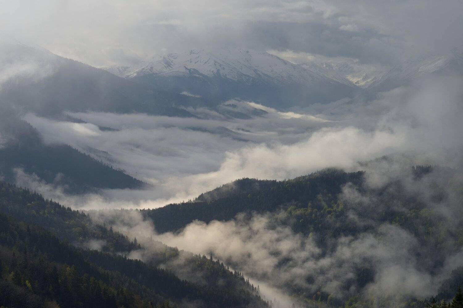 горы весна кавказ закан, Александр Жарников
