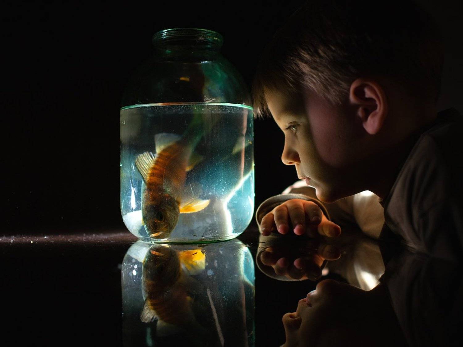 , Евгения Брусенцова