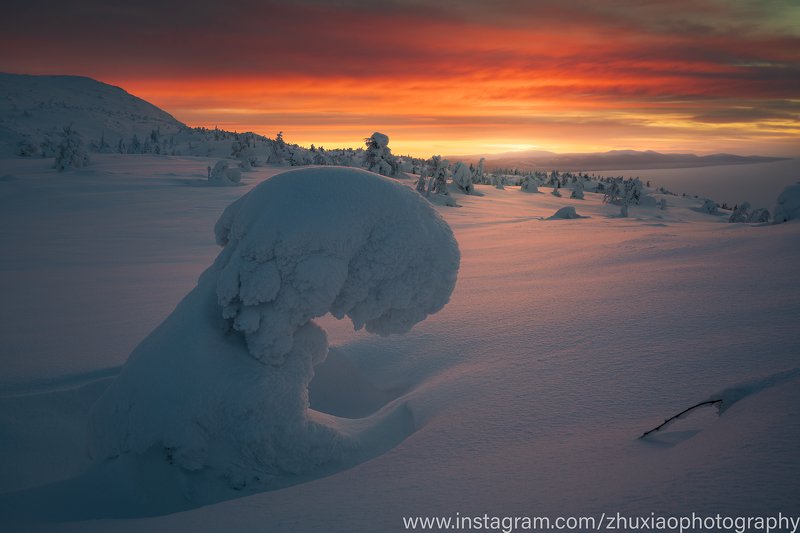 Утренний снежный монстр фото превью