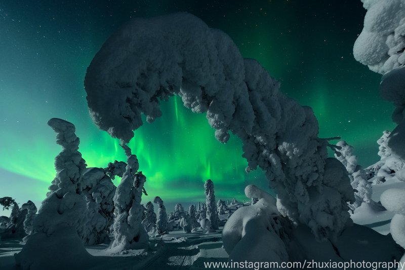 Вечерний лес фото превью