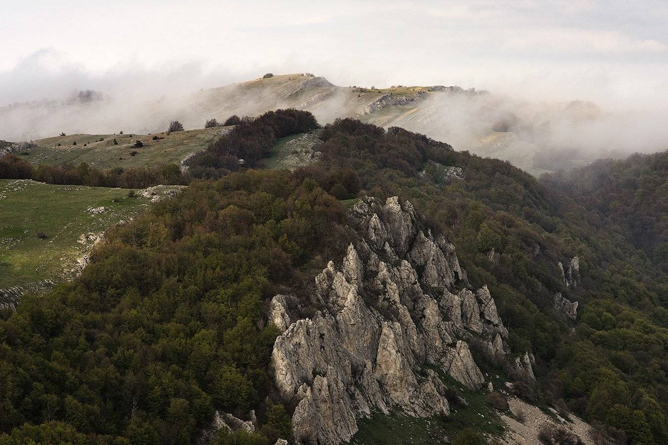 , Олег Логунов