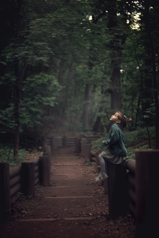 В лесу фото превью