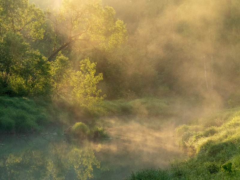 Утро понедельника фото превью