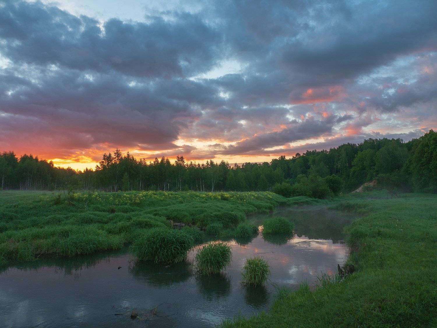 , Марина Брыдня