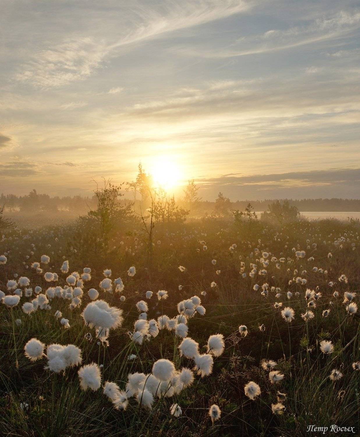 рассвет, озеро, Петр Косых