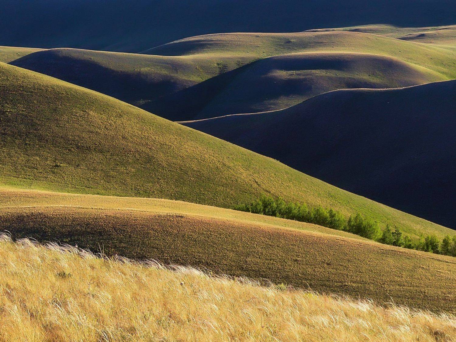 , Леонид Максименко