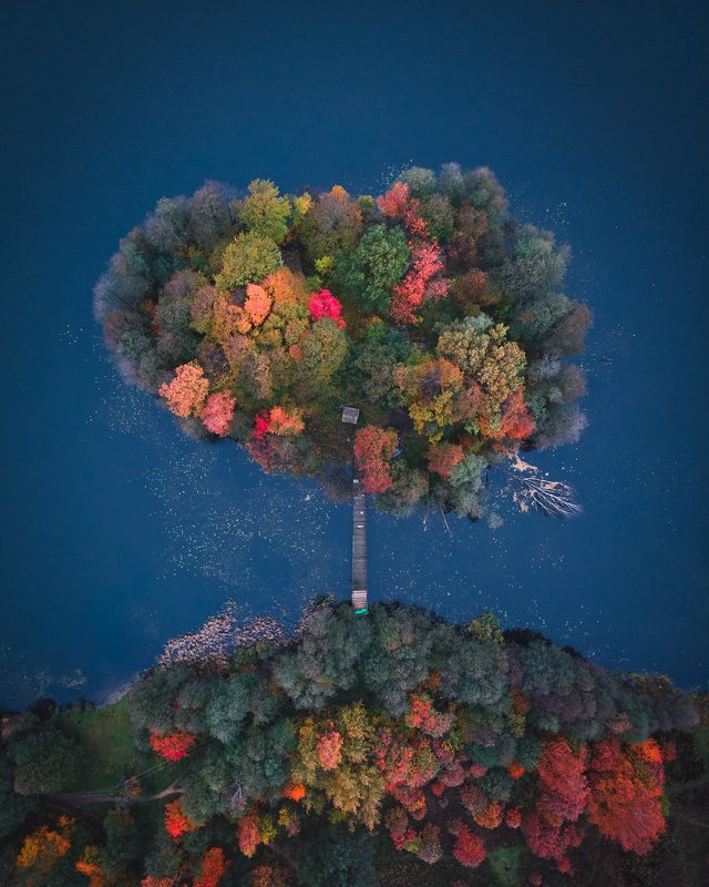 фото превью