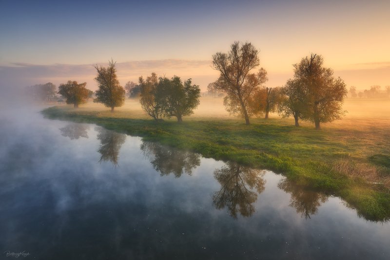 morning, ner, morning, dawn, spring, fog, willow, trees, river, nature  фото превью