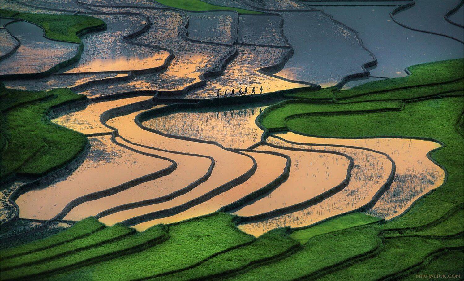 , Михалюк Сергей *