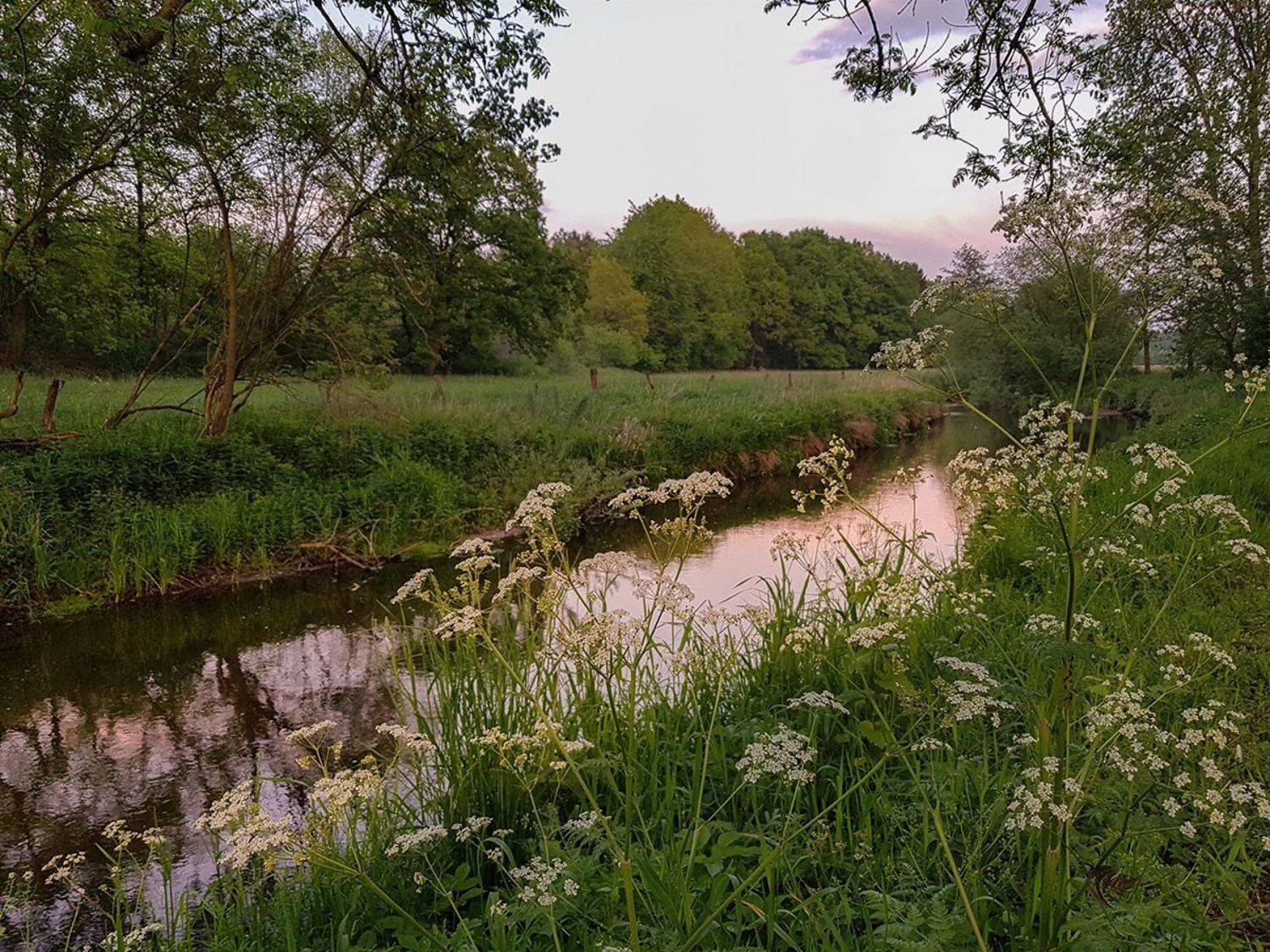 , Игорь Дубровский
