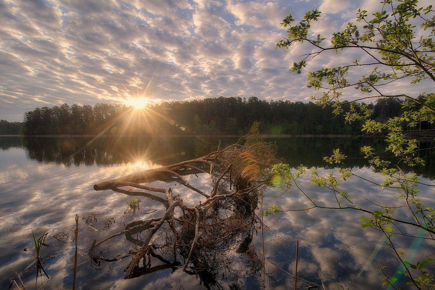 , Федотов Антон