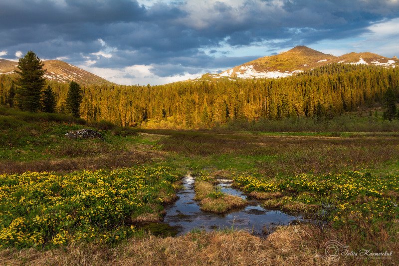 landscape, scenic, nature, travel, outdoor, view, tree, summer, mountains, snow, sky, high, ergaki, krasnoyarskyi krai, siberia Июньский цвет фото превью