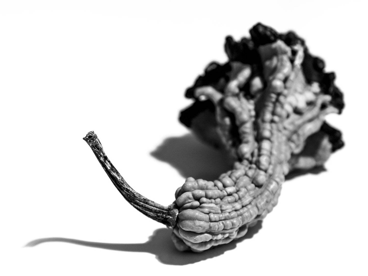 simone zeffiro hasselblad still life art fine art, Simone Zeffiro