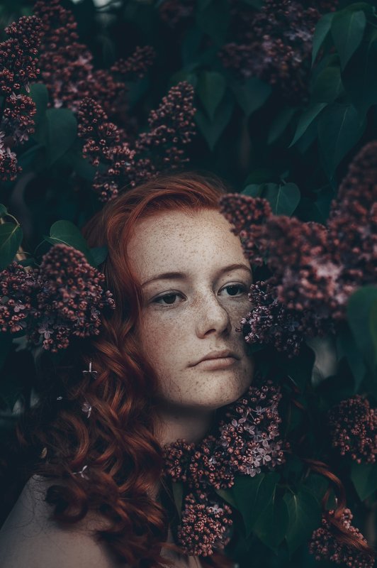 35mm, 4x5, 6x6, 6х6, 85mm, Art, Art nude, Ballerina, Ballet, Battur, Beautiful, Beauty, Canon, Canon 5D Mark III, Car, Color, Dance, Dress, Emotion, Eyes, Face, Flowers, Ganzo, Genre, Girl, Hair, Hero, Irinadzhul, Light, Lilac, Model, Mongol, Mongolia, Mo  фото превью