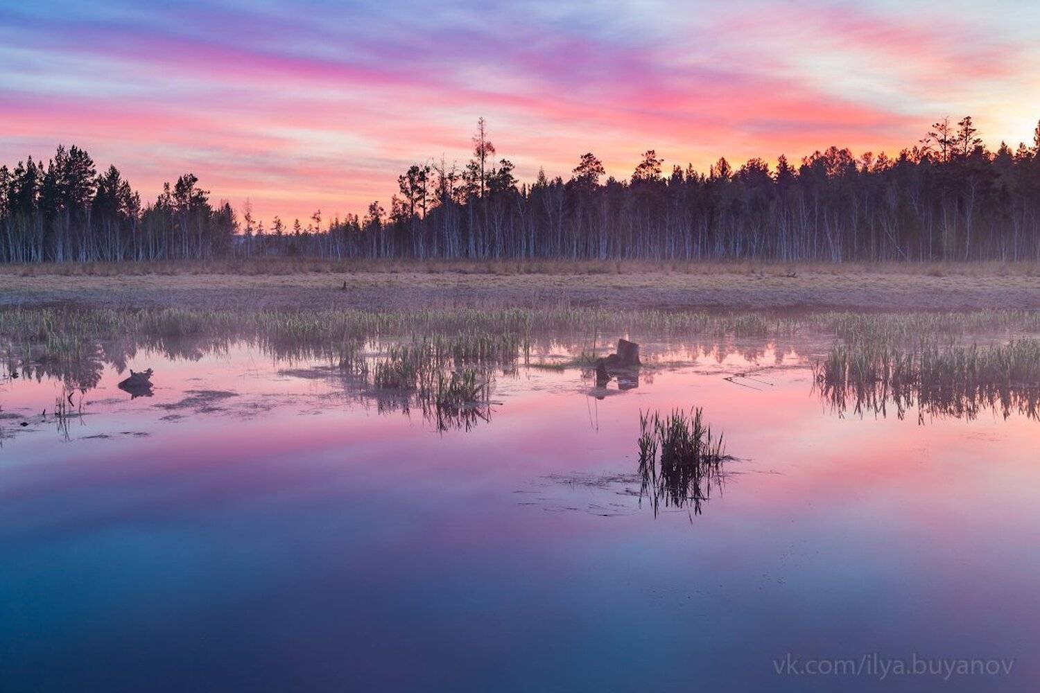 , Илья Буянов