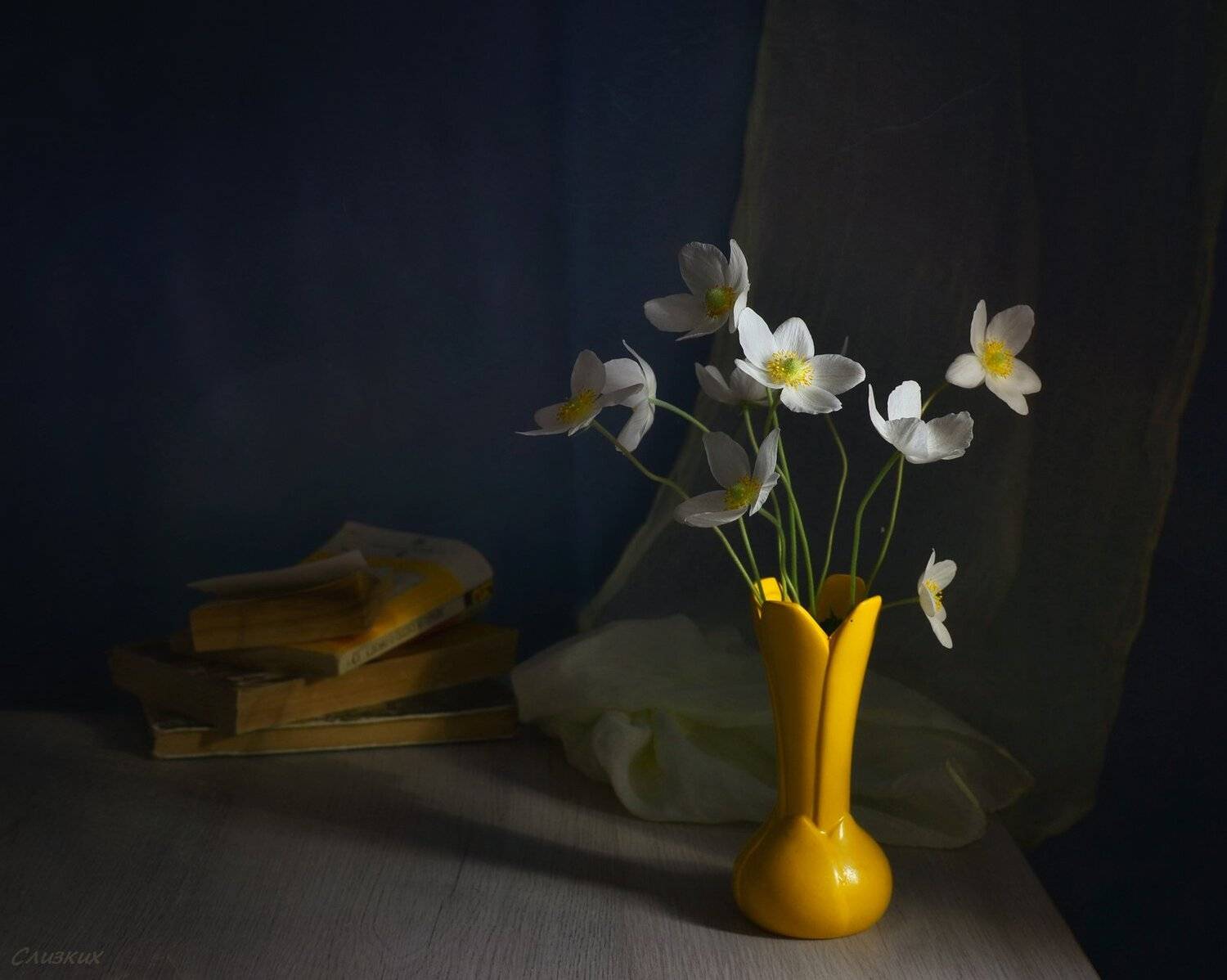 натюрморт,композиция,свет,весна, лук,книги,букет,анемоны, Инаида