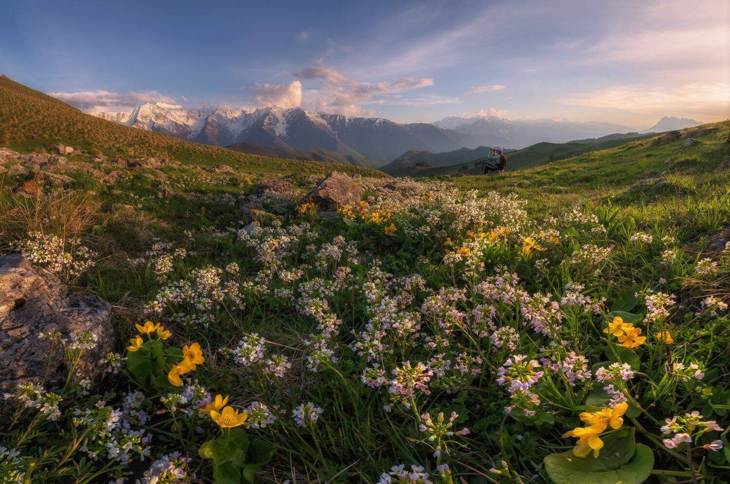 кавказ, ингушетия, эрзи, вечер, цветы, Николай Мысливцев
