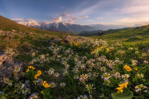 Вечер на цветочной поляне