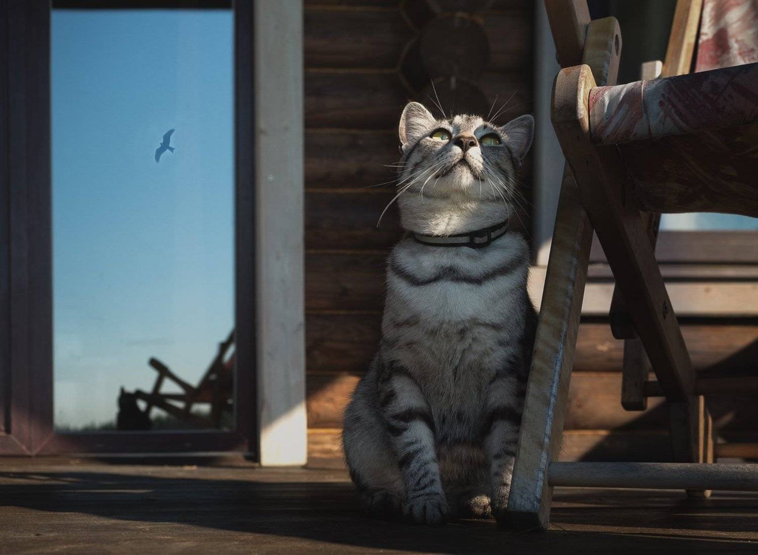 , Баранов Олег