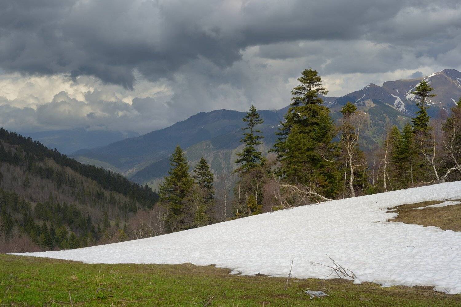 горы весна кавказ закан, Александр Жарников