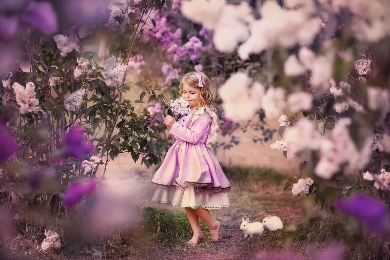 *** фото превью