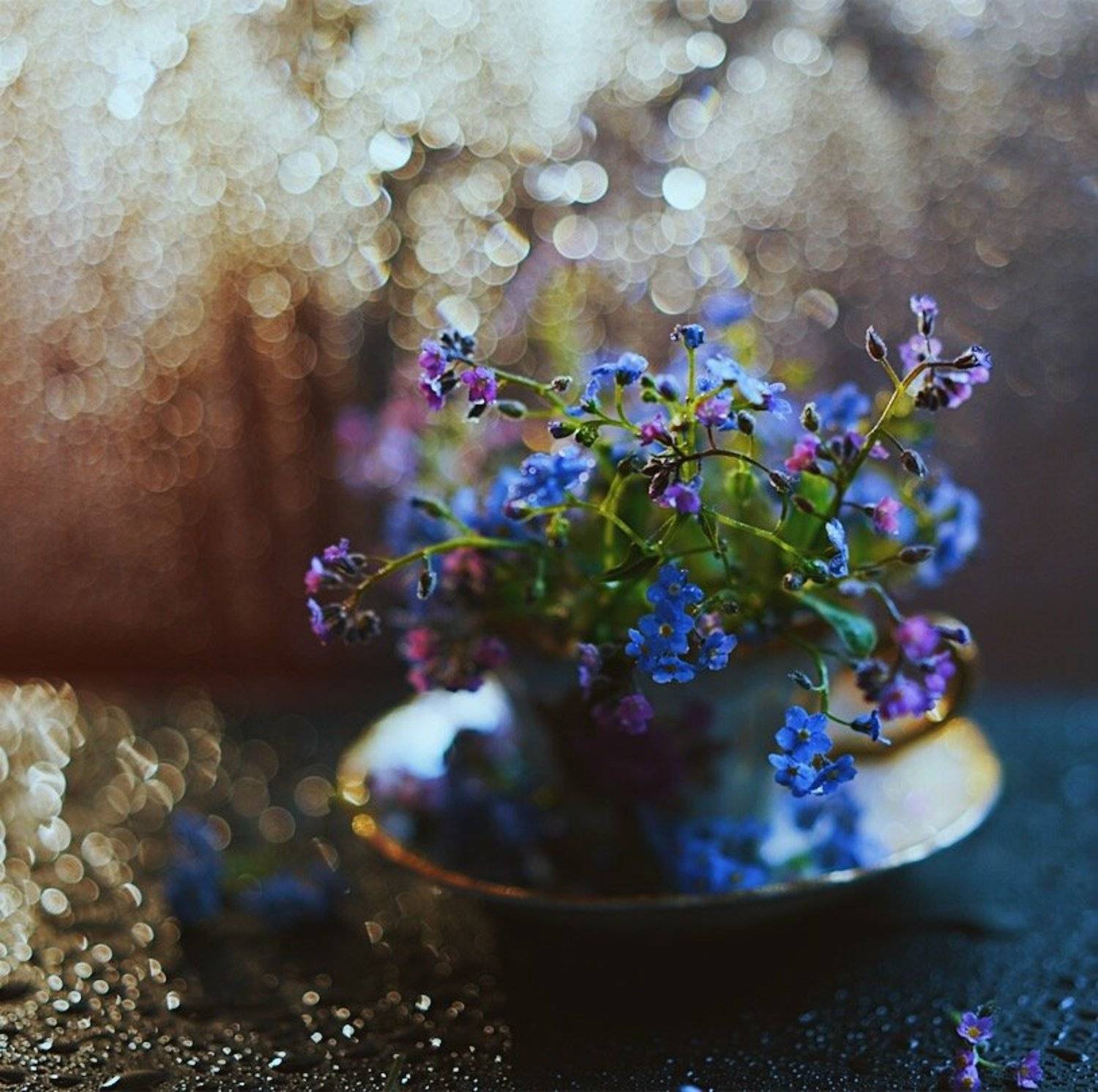 , Казанцев Алексей