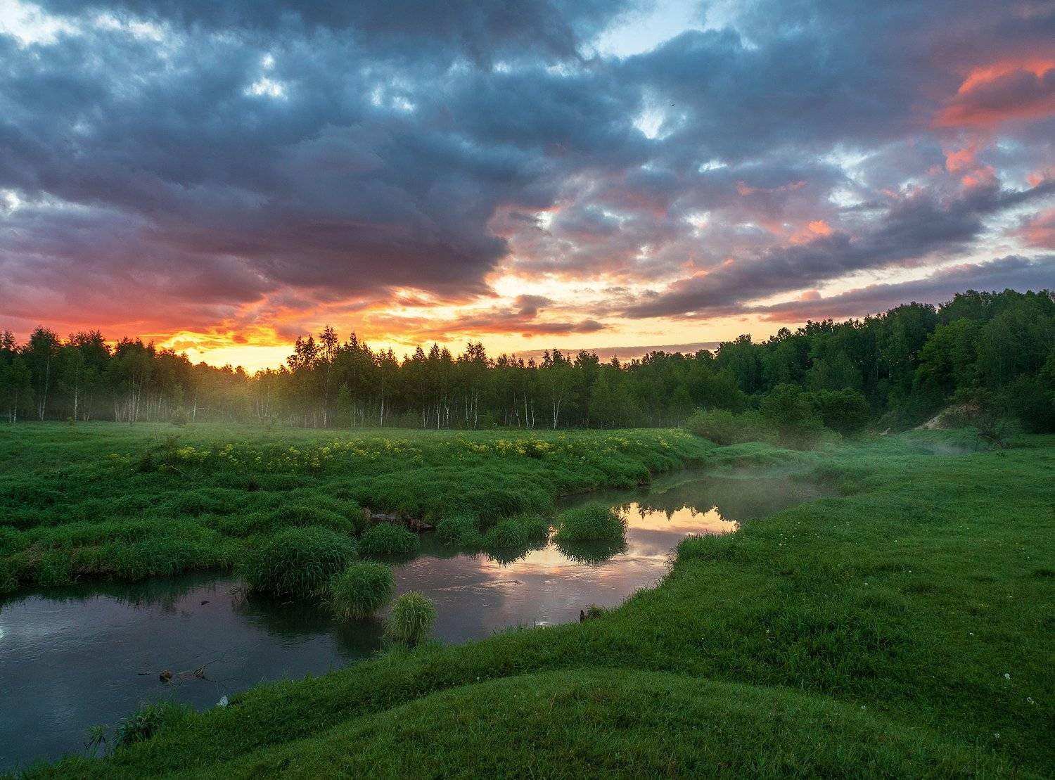 , Марина Брыдня